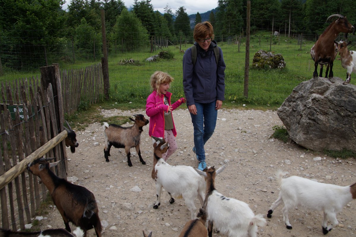 Wildpark 2019
